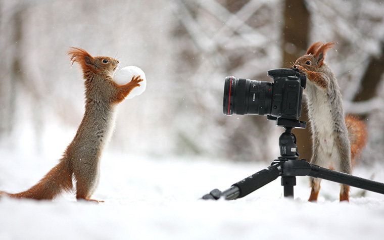 Solent News & Photo Agency