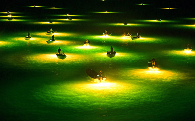 Young Eel Fishing Peaks In Tokushima