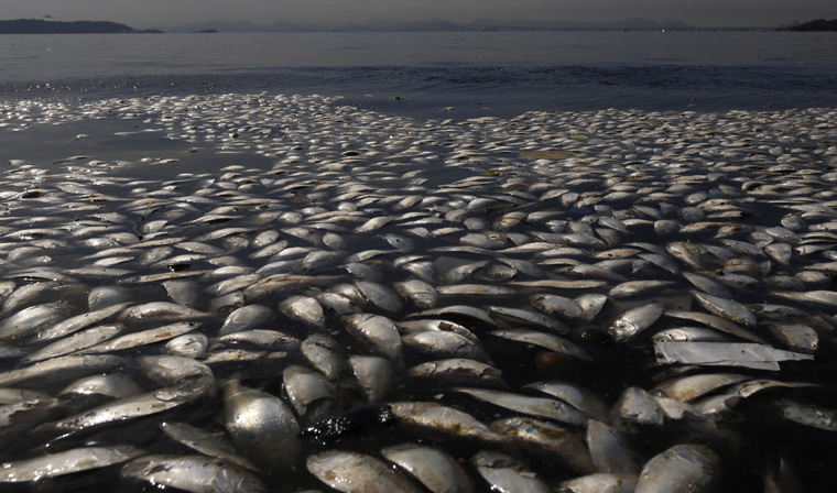 APTOPIX Brazil Dirty Water