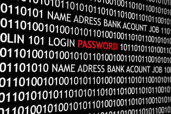 Bitwarden Password Manager