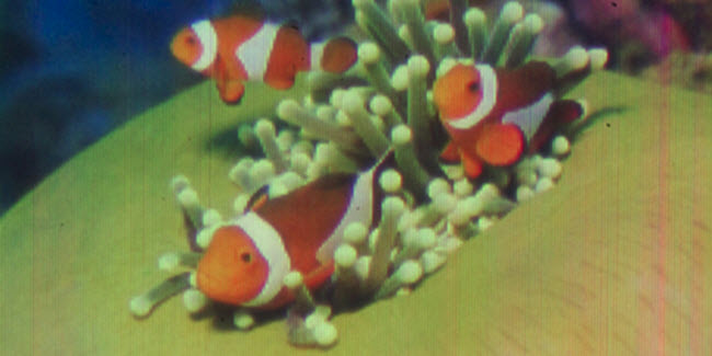 2015-12-21_12-04-15