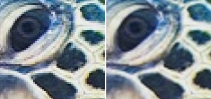 11-17-2016-2-22-52-pm