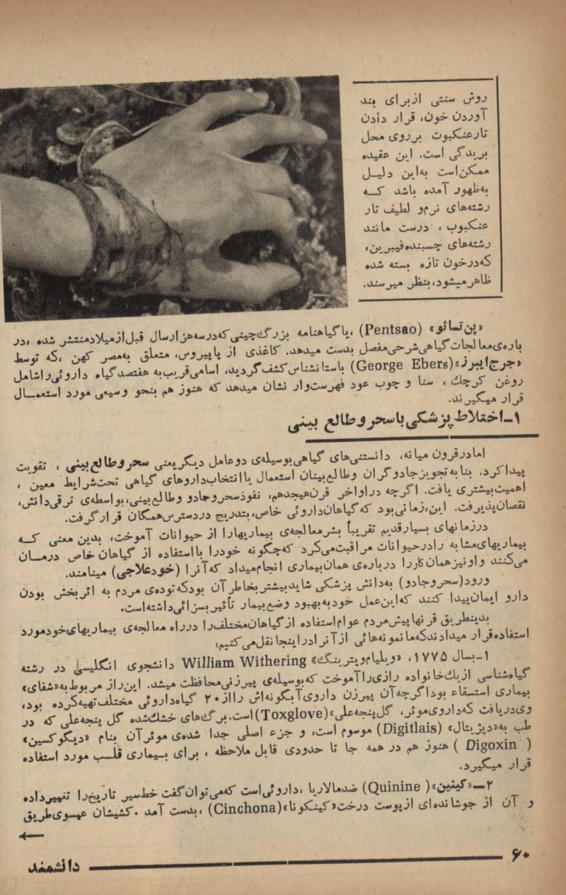 daneshmand0002