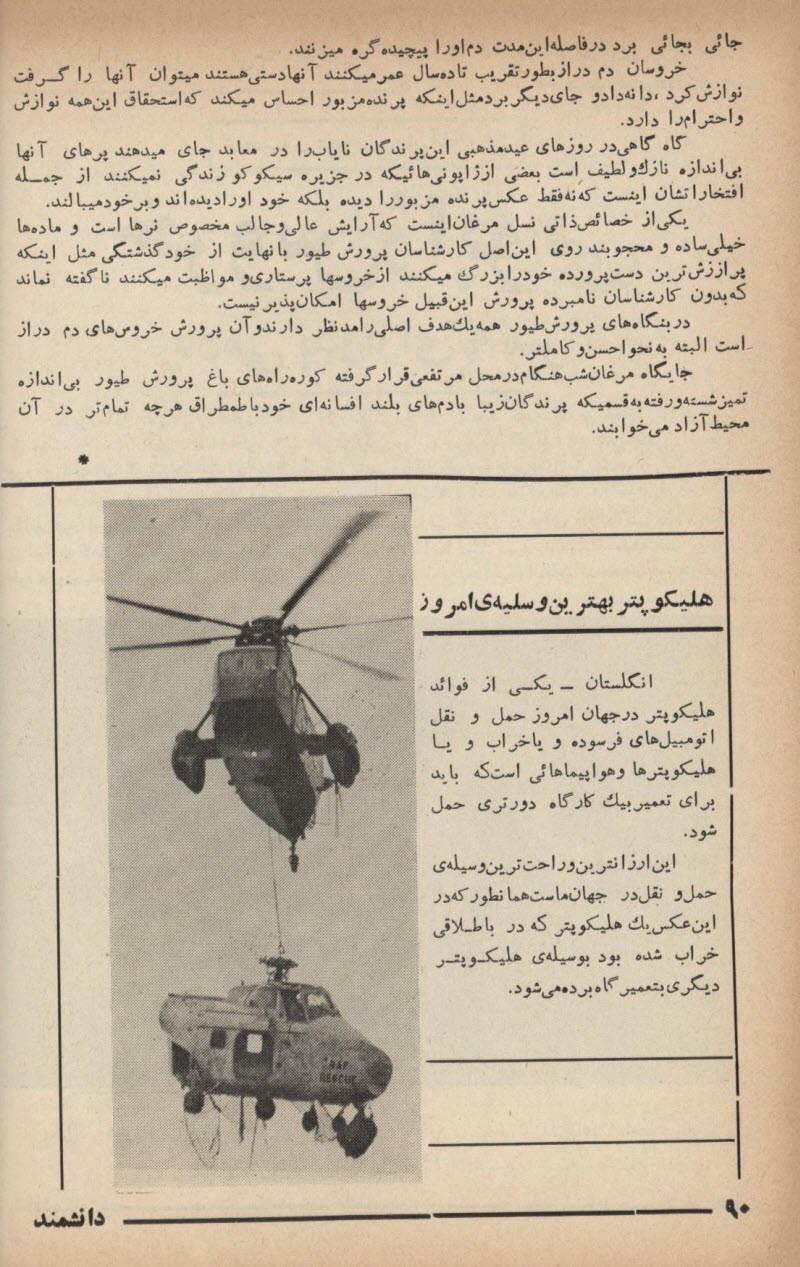 daneshmand0002