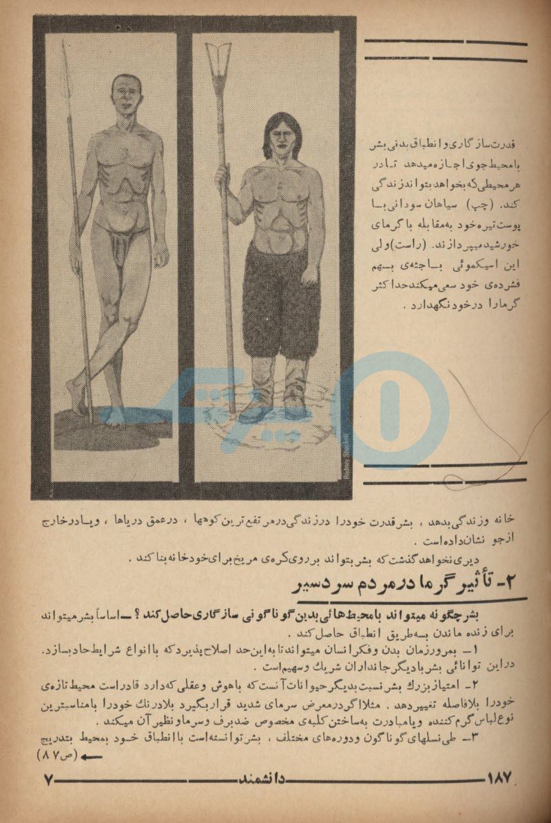 daneshmand0002