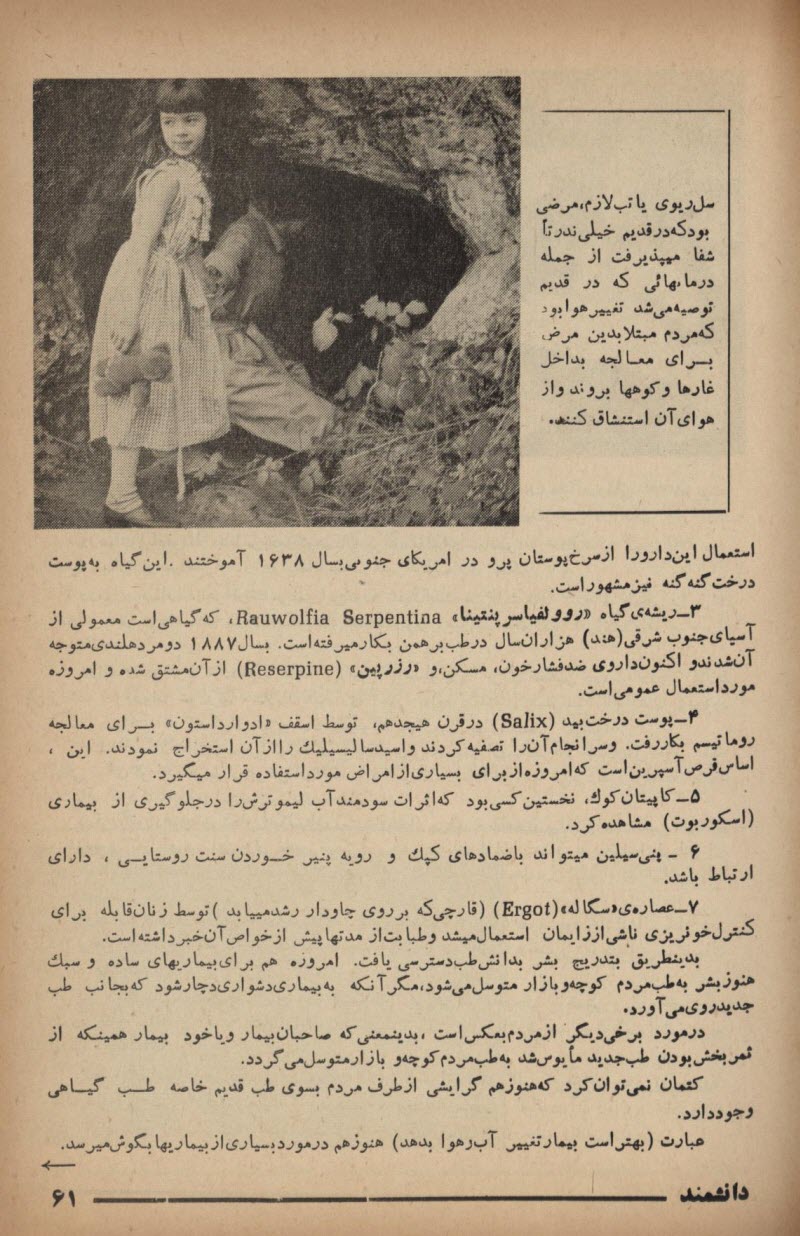 daneshmand0003