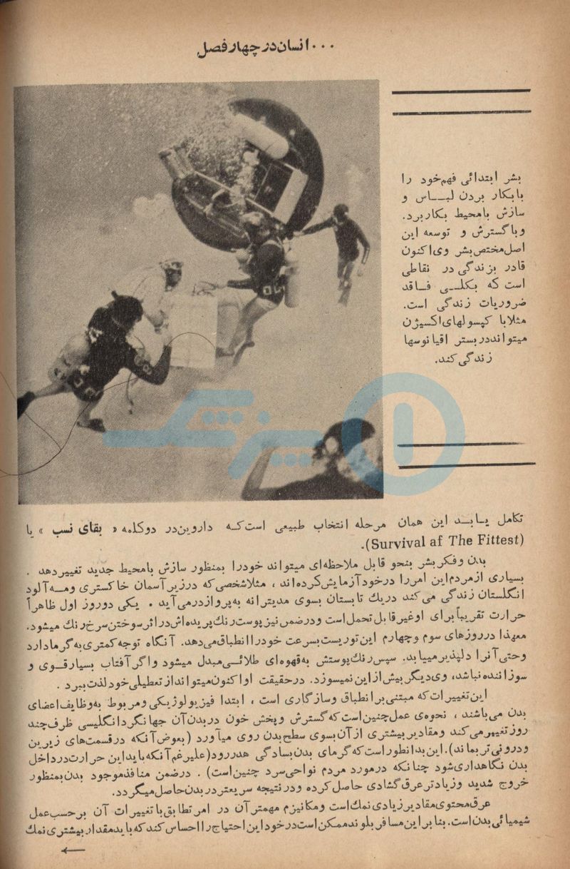 daneshmand0003
