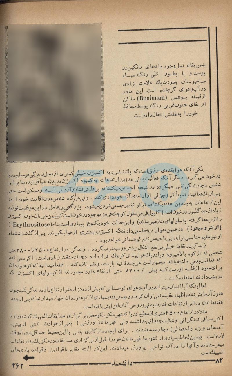 daneshmand0007